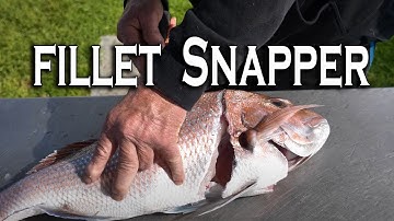 How to Fillet a Snapper