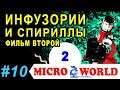 Инфузории и спириллы (фильм второй) - MICRO WORLD #10