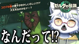 【 ゼルダの伝説 ティアーズ オブ ザ キングダム 】なんだって！？コログの森がヤバいだって！？＃15【白瀧炬燵/One Lyric】