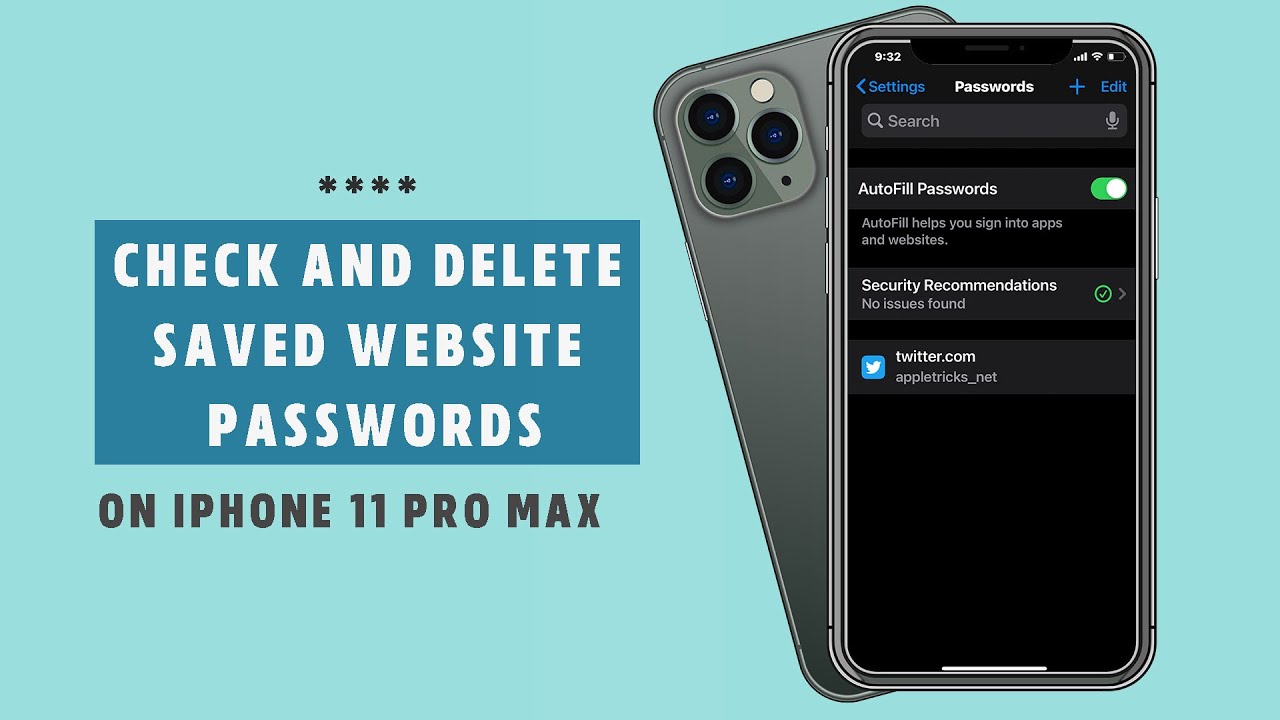 Check and Delete Saved site Passwords on iPhone 11 Pro Max Remove