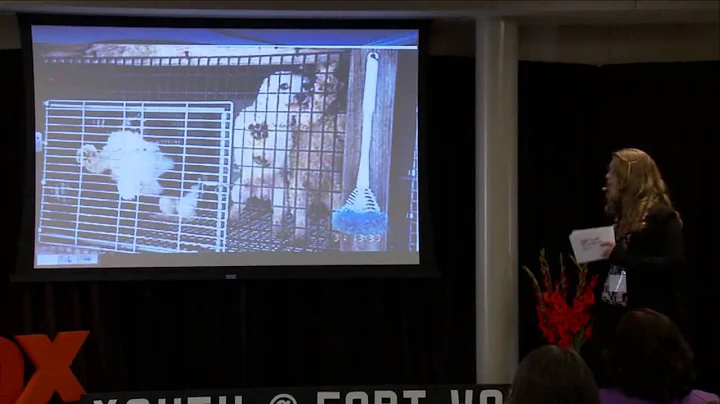 That Doggy In The Window: Casey Hammett at TEDxYou...
