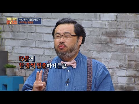 (헉) 15분에 한 종씩 멸종... 사라지고 있는 동물들 차이나는 클라스 32회