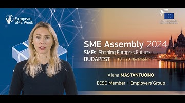 SME Assembly 2024: how can SMEs navigate the bureaucratic burden?
