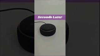 Echo Dot 3rd Gen Hard Reset in 53 Secs