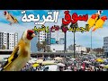 سوق القريعة بالدارالبيضاء عند الأخ رشيد والتعرف على جميع الطفرات مقنين عند الأخ رشيد
