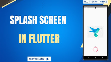 How to Create a Splash Screen in Flutter App | Without external package