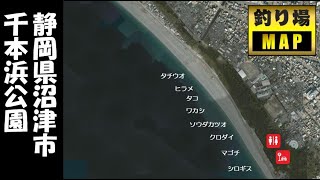 静岡県沼津市 千本浜公園 片浜海岸 の海釣りガイド Youtube