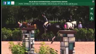 Othello ( Oreo ) USHJA 2’9” Hunter WEF 6, 2022
