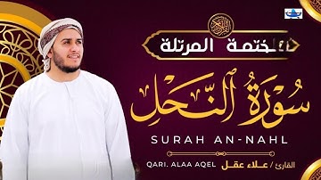 Surah An- Nahl. Alaa Aqel. سورة النحل. সূরা আন - নাহল। আলা আকিল। Beautiful quran reaction. #quran 