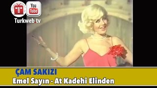 Çam Sakızı -  At Kadehi Elinden Resimi