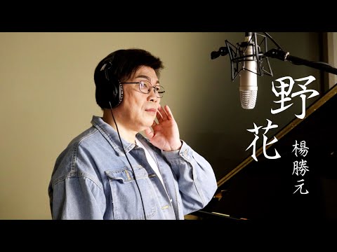 經典老歌！《野花》cover by 楊勝元