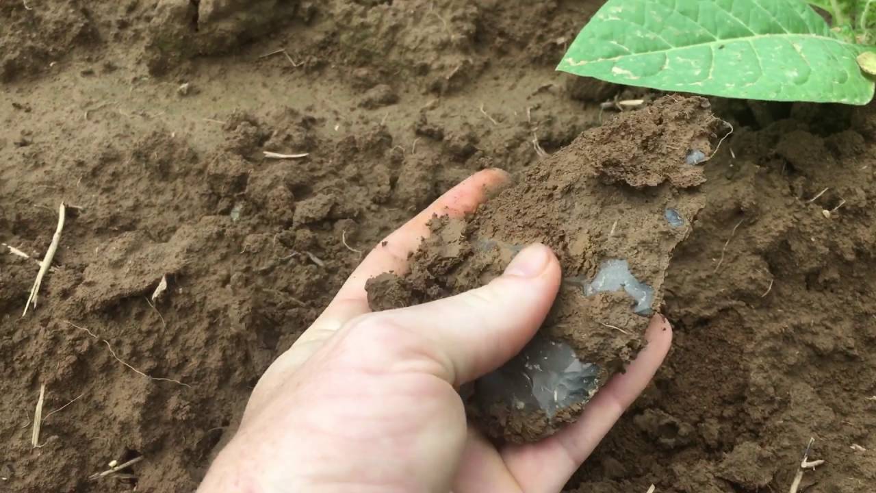 Arrowhead hunting Kentucky. Nice Preform found 752016 YouTube