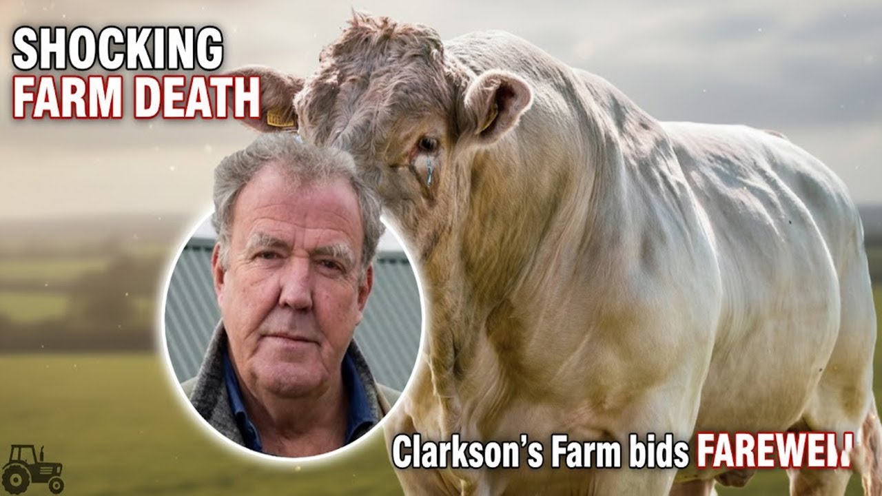 Джереми Кларксон объявляет о трагической смерти на ферме Кларксона после обновления информации о ...
