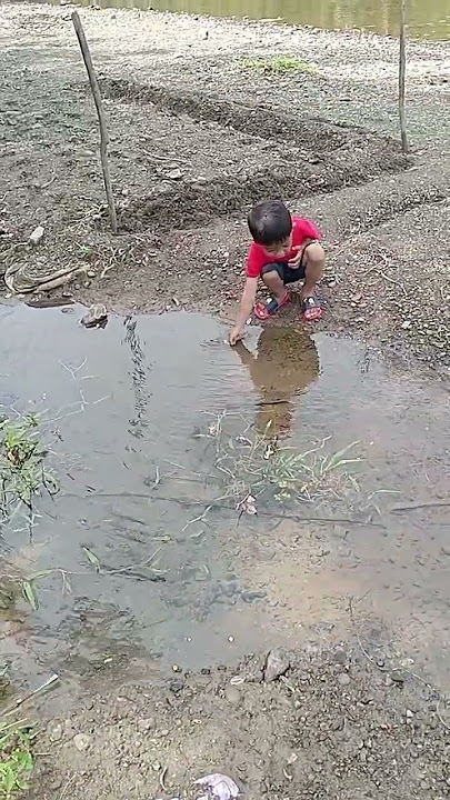 untung gk nyemplung #koi #kolamikan #jalanjalan #funny #shortvideo #jajanan
