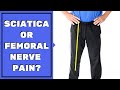 Is Leg Pain Sciatica or Femoral Nerve Pain? Must See to Assess & Stop Pain