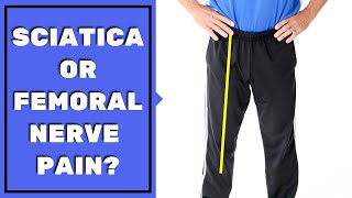 Is Leg Pain Sciatica or Femoral Nerve Pain? Must See to Assess & Stop Pain
