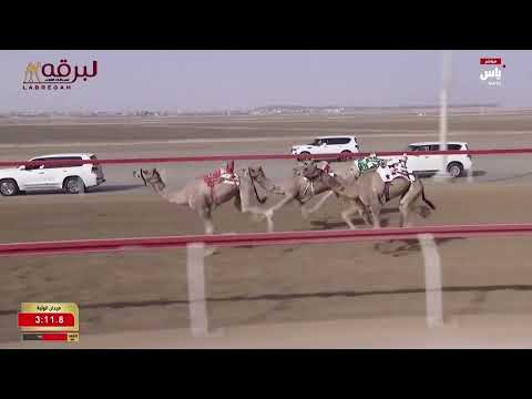 ش22 الجامح ل سعيد مرزوق المنصوري الوثبة الأسبوع الثاني 27 9 2025 لقايا قعدان محليات إنتاج 6 10 05