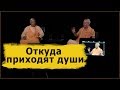 Индуизм о том откуда приходят души .