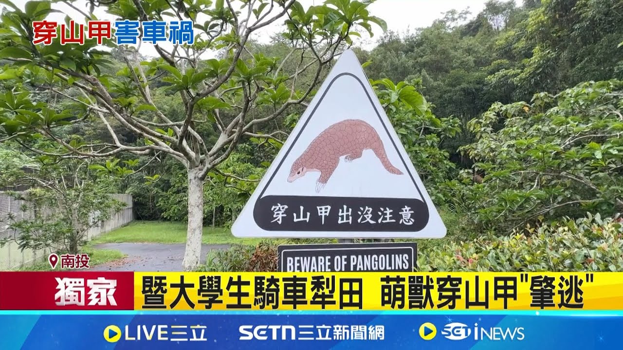 暨大學生騎車犁田 萌獸穿山甲