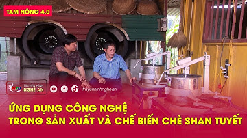 Tam nông 4.0: Ứng dụng công nghệ trong sản xuất và chế biến Chè Shan tuyết
