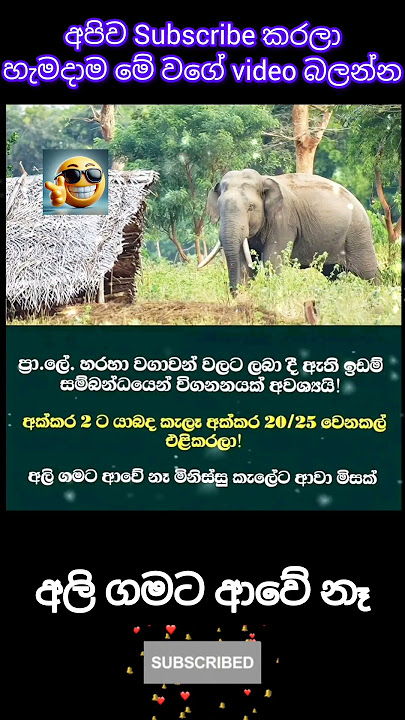 වන සතුන් සුරකිමු 🙏 #srilankanews