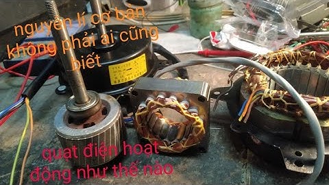 nguyên lí hoạt động của quạt điện mà không phải ai cũng biết