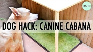 Have a city dog but no backyard? We have a DIY dog hack solution for you! Rescue dog and DIY sidekick Gracie Strudel builds a 