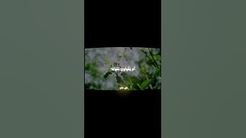 سورة الطور | #quran #قرآن #المصحف #علي_جابر