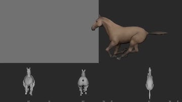 Horse Run cycle animation - v02