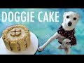 How to Make a Cake for a Dog - Dog Birthday Cake Recipe