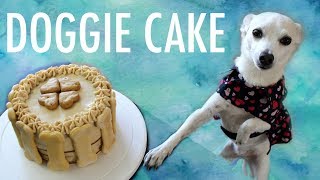making a cake for a dog