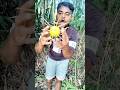 Unbelievable Spiky Fruit Found in the Jungle! You Won’t Believe What Happens Next 😱🌿"