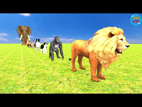 اغنية زئير الاسد اغاني ممتعة لطيفة  