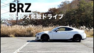 借金地獄だが限界で妻に仕事を辞めたいと相談してみた【BRZ】【vlog】【ドライブ】【ストレス】