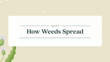 Weeds Gone Wild - Episode 2: How Weeds Spread