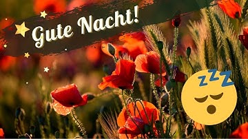Gute Nacht Sprüche Für Mein Schatz | Green Book Streaming