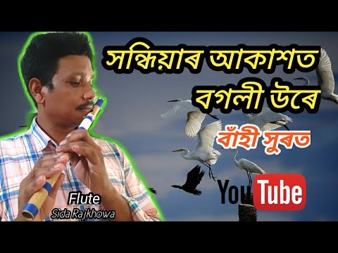 Sandhiyar Aakashot Bogoli Ure  Tulika Senapoti  Flute cover by Sida Rajkhowa  Sida flute