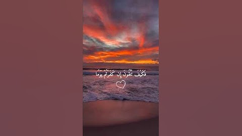 أرح سمعك 🤍🌿 ستوريات انستا قران كريم ايات قرانية قصيرة || حالات واتس قران صوت #القارئ_احمد_النفيس 🤍🌿