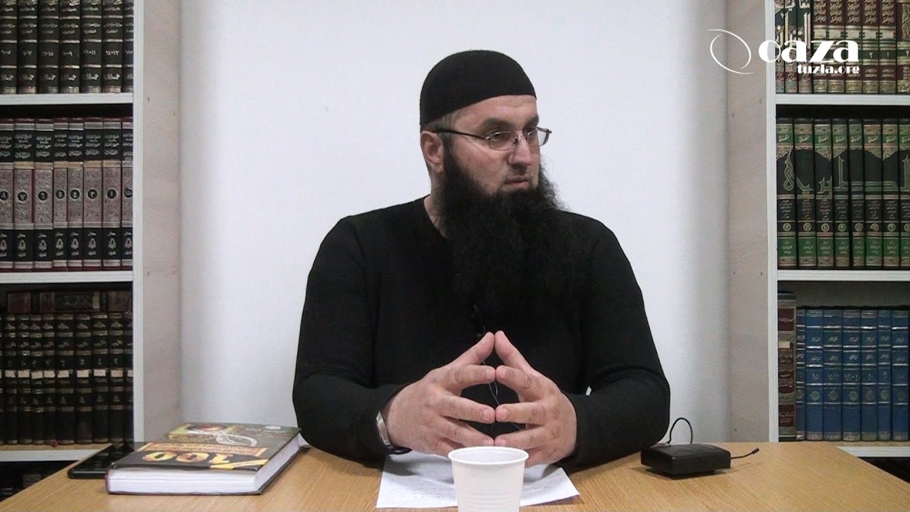 ARAPSKI POLUOTOK - Harmin Suljić, prof.