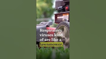 What Paramedics Need to Know: Why Respiratory Viruses Make Infections Deadly