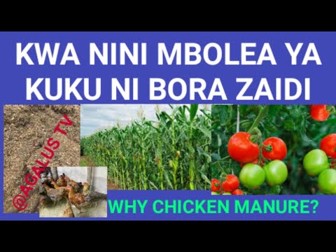 Video: Faida za Mbolea - Jifunze Kuhusu Faida za Kutumia Mbolea