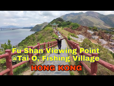 Video: Kuljetus Tai O Fishing Villageen Hongkongiin