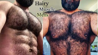 Attractive Chest Best Hairy Body | Top Hairy Muscle Mens
