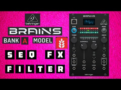 Behringer Brains - A4 - Grains MODEL - feat Sequencer + FX + Filter