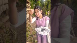 Nutur ee kambing buat eyeliner