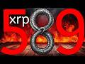 Ripple XRP ALL OUR DREAMS ARE ABOUT TO COME TRUE $2K 2020 KING!