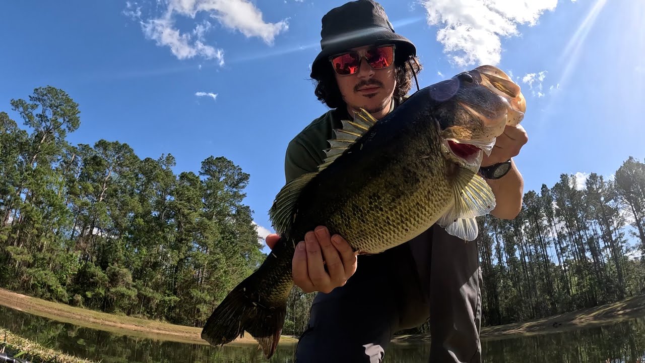 This BIG Largemouth Bass Couldn't Resist this Soft Plastic SWIMBAIT!