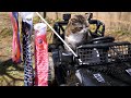 鯉のぼりとラジコンとねこ。-Carp Streamers& Radio Controlled Car and Maru.-