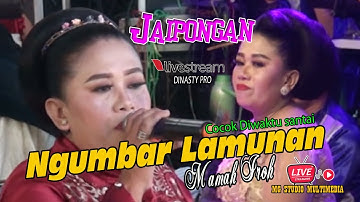 Ngumbar Lamunan II Mamah Iroh II Dinasty Pro II Official Mg Studio Multimedia