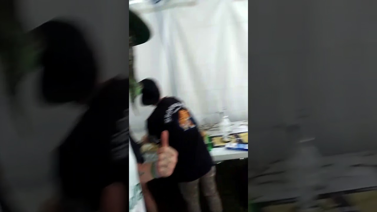 Bacc stage caviar gold